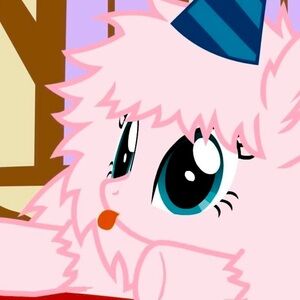 Meet your Posher, Maddie